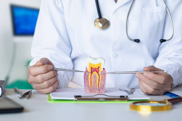 Best Knocked-Out Tooth (Avulsed Tooth) Treatment in Kiryas Joel, NY